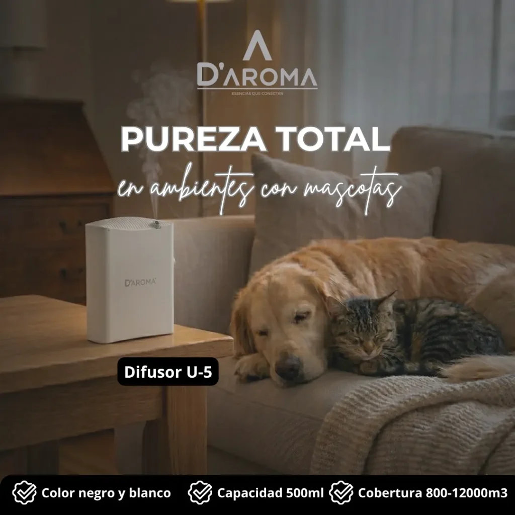 Difusor 1